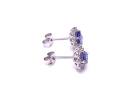 9ct White Gold Tanzanite & Diamond Stud Earrings