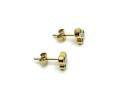 9ct Yellow Gold CZ Stud Earrings