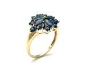 14ct Yellow Gold sapphire Cluster Ring