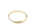 9ct Two Colour Bangle