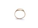 9ct Yellow Gold Signet Ring