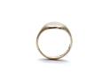 9ct Yellow Gold Plain Signet Ring