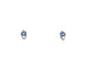 Silver Purple & Clear CZ Stud Earrings