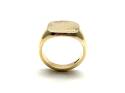 9ct Yellow Gold Signet Ring