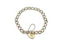 9ct Yellow Gold Charm Bracelet