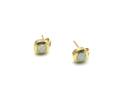 14ct Yellow Gold Opal Stud Earrings