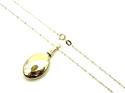 9ct Yellow Gold Oval Ashes Locket & Chain