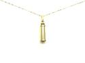 9ct Yellow Gold Cylinder Ahses Locket & Chain