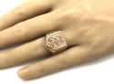 9ct Yellow Gold 3 Lions Ring