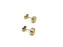 9ct Yellow Gold Stud Earrings