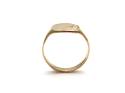 9ct Yellow Gold Signet Ring