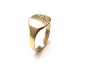 9ct Yellow Gold Signet Ring