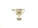 9ct Yellow Gold Trophy Cup Charm