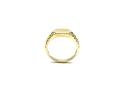 9ct Yellow & White Gold Signet Baby Ring