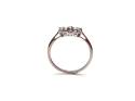 9ct White Gold Diamond Cluster Ring