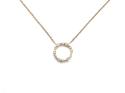 9ct Yellow Gold Diamond Circle Pendant & Chain