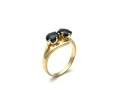 14ct Yellow Gold Sapphire 2 Stone Ring