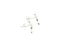 Silver Dragonfly Stud Earrings 12x10mm