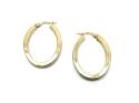 9ct Yellow Gold Oval Hoop Earrings