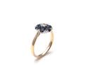 9ct Yellow Gold Sapphire & Diamond Cluster Ring