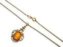 9ct Yellow Gold Amber Pendant & Chain