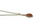 9ct Yellow Gold Amber Pendant & Chain