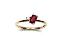 9ct Yellow Gold Ruby & Diamond 2 Stone Ring