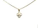 9ct CZ Four Leaf Clover Pendant & Chain