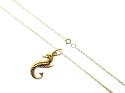 9ct Seahorse Pendant & Chain