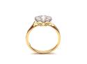 18ct Yellow Gold Diamond Cluster Ring 1.00ct