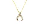 9ct Yellow Gold Diamond Wishbone Pendant & Chain