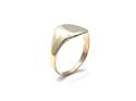 9ct Yellow Gold Signet Ring