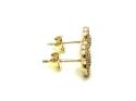 9ct Yellow Gold CZ Daisy Halo Stud Earrings