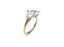 18ct Laboratory Grown Diamond 2 Stone Ring1.56ct