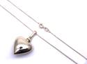 9ct Yellow Gold Heart Ashes Locket & Chain