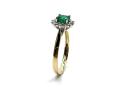 9ct Yellow Gold Emerald & Diamond Halo Ring