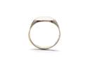 9ct Yellow Gold Signet Plain Ring