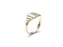 9ct Yellow Gold Signet Plain Ring