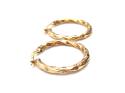 9ct Yellow Gold Twisted Earrings