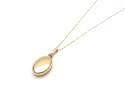 9ct Yellow Gold Oval Ashes Locket & Chain