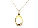 9ct Yellow Gold Oval Ashes Locket & Chain