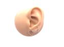 9ct Two Colour Stud Earrings