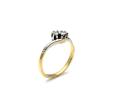 18ct Yellow Gold 2 Stone Ring