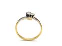 18ct Yellow Gold 2 Stone Ring