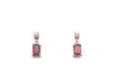 9ct Garnet & Diamond Drop Stud Earrings