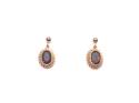 9ct Garnet Drop Earrings