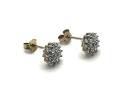 9ct Diamond Cluster Earrings 0.20ct