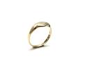 9ct Yellow Gold Signet Ring