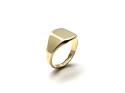 9ct Yellow Gold Signet Ring