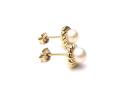 9ct Yellow Gold Fresh Water Pearl Stud Earrings